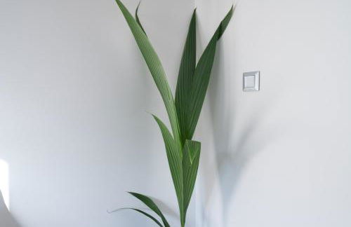 apt Eleven - cozy apartment with garden - Foto 16