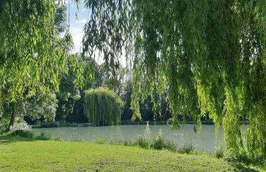 Le gîte de l'atelier - Photo 17