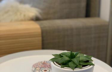 "SANXENXO HOLIDAYS" ATICO CON GARAJE, BARBACOA y PISCINA A 5 MIN DEL CENTRO - Foto 11