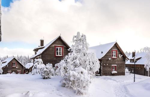 Ferienhäuser im Torfhaus Harzresort, Torfhaus - Foto 6