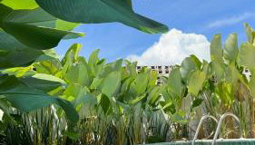 Casa Matutina Colonial-Conforto Moderno no Centro Histórico - Foto 2