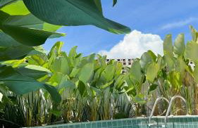 Casa Matutina Colonial-Conforto Moderno no Centro Histórico - Foto 2