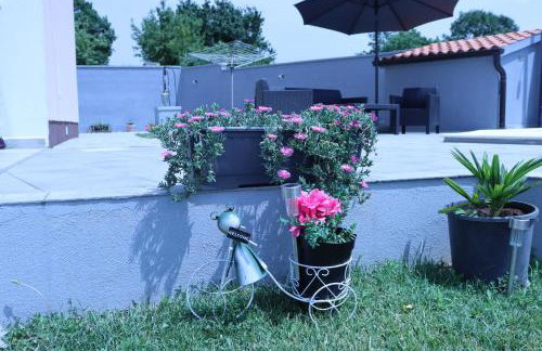 Villa Marin Smoljanci - Foto 18