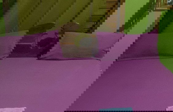 Deano's Cottages - Photo 22