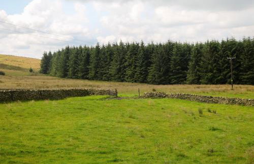 Downsdale Cottage - Foto 23