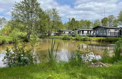 Bumble Lodge New Forest - Foto 43