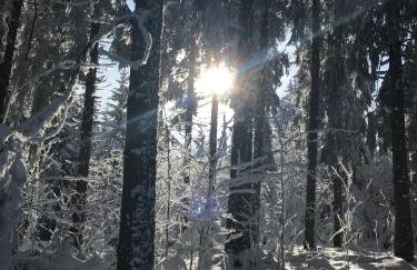 Ferienwohnung Lindenhof - Foto 35