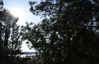 La Casa de Las Burbujas Azules - Foto 9