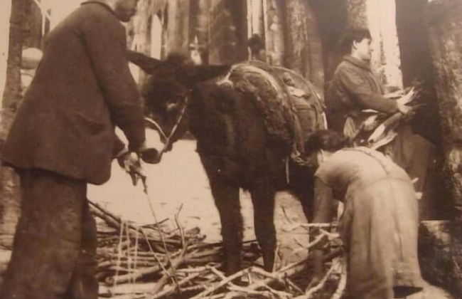 Agriturismo Il Punto Verde - Foto 21