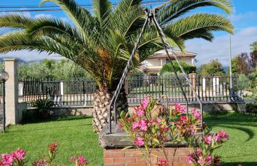 Relax in campagna - Aquino - Photo 17