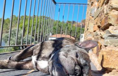 El Descanso de Las Hurdes - Foto 7