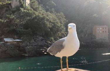 casa di arya CODICE CITRA LT-0043 - Foto 26