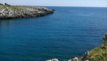 Badisco Vacanze - Foto 5