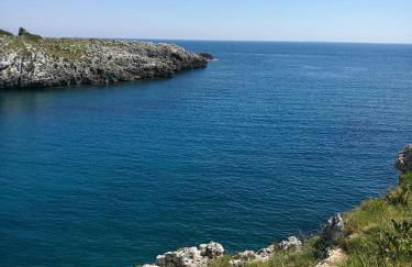 Badisco Vacanze - Foto 5