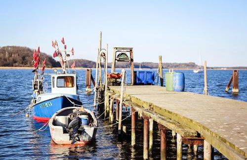 Ferienhaus Gut Glück - Foto 45