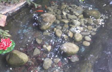 Casa las Niñas - Photo 18