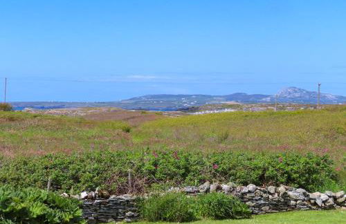 Pant yr Hyman - Foto 69