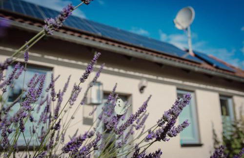 FEWO KOI mit Teichblick - Foto 4