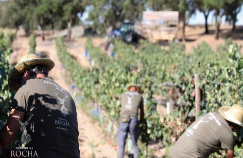 Herdade da Rocha - Boutique Lodge - Foto 77