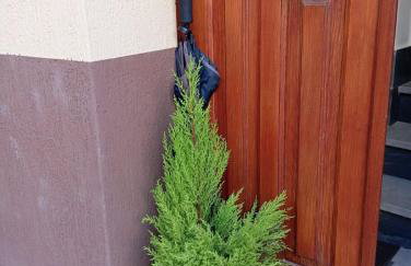 Elico Di Sicily B@B - Foto 2