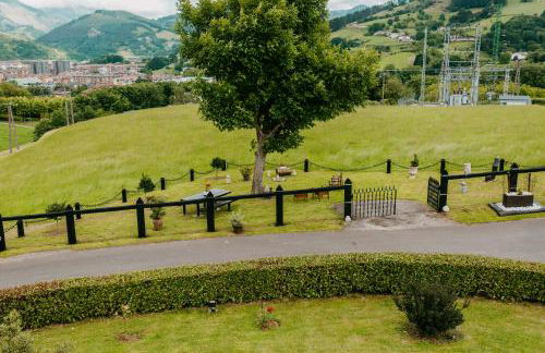 Txanpardin - Foto 16