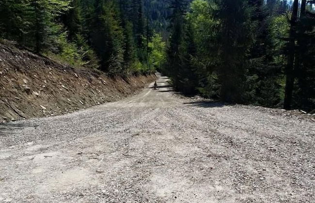 Jaworki Green Dream - Foto 35