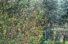 Narniandum Est Locazione Turistica - Foto 71