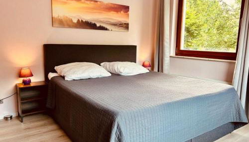 Das-Urlaubszuhause-fuer-Familien-Grossfamilien-Mehrfamilien-und-kleine-Gruppen-bis-zum-12-Personen-mit-vielen-Unterhaltungsmoeglichkeiten-im-Harz - Foto 2