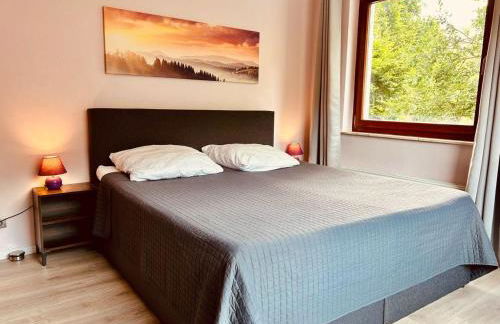 Das-Urlaubszuhause-fuer-Familien-Grossfamilien-Mehrfamilien-und-kleine-Gruppen-bis-zum-12-Personen-mit-vielen-Unterhaltungsmoeglichkeiten-im-Harz - Foto 2