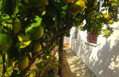Schöne Ferienwohnung mit Terrasse, Roses - Photo 71