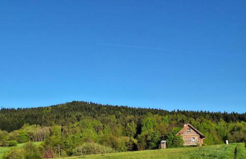 Zacisze Babci Ludwisi w Beskidzie Niskim - Photo 7