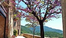 Relax nell' Antico Borgo - Foto 2