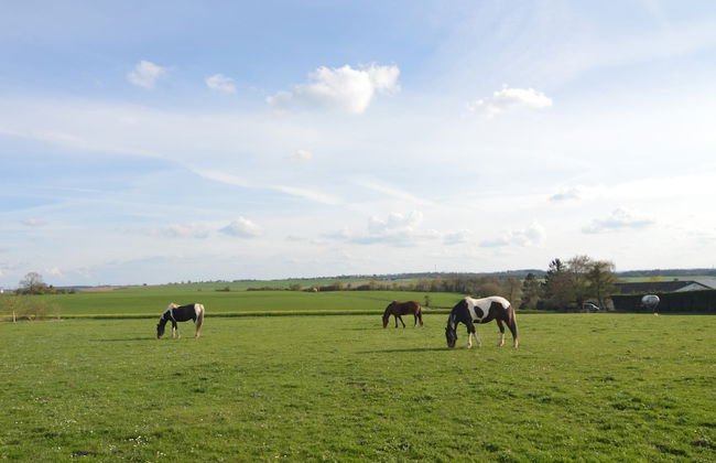 Holiday House in Horse Riding School near Stavelot & Spa Circuit - Photo 27
