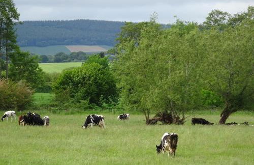 Herdsman's Hideaway - Foto 9