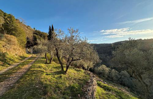 Spello Sant'Onofrio - Foto 35
