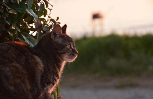 FACE MER et PLAGE, entre SAINT MICHEL et SAINT BREVIN - Photo 21