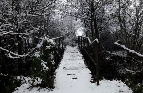 Le chant de la rivière - Foto 31