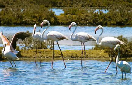 AlbufeiraOrada Splendor by Be Cherish - Foto 39