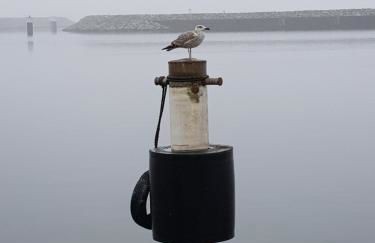 Sunshine Speicherresidenz Barth - Photo 30