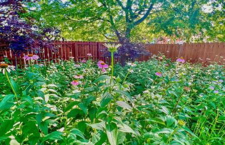 2BR with Workspaces & Deck ABODEbucks - Foto 41