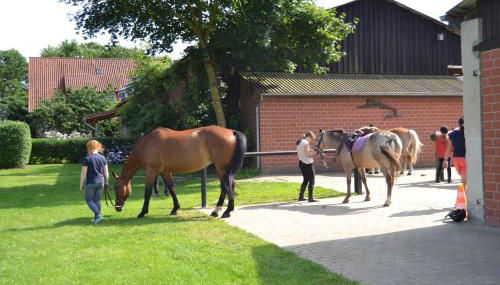 Reit- und Bauernhof Klaucke - Foto 5