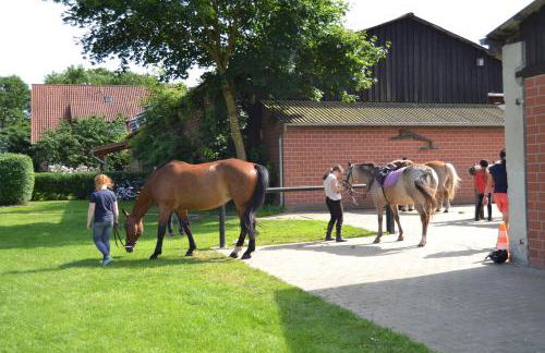 Reit- und Bauernhof Klaucke - Foto 5