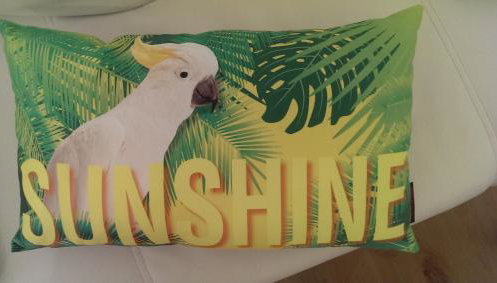 Seepark Falk Wohnungen - Foto 3