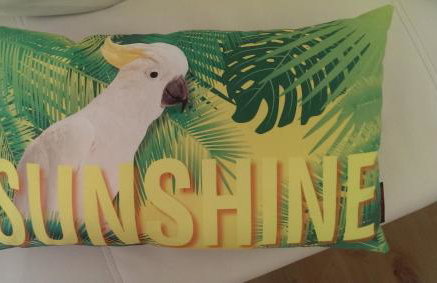 Seepark Falk Wohnungen - Foto 3