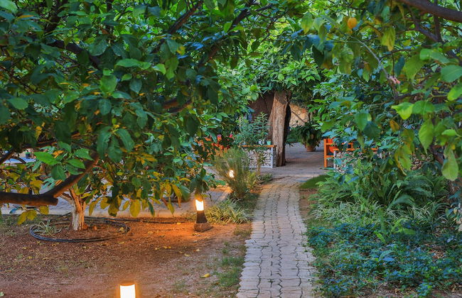 Harnup Apart - Photo 44