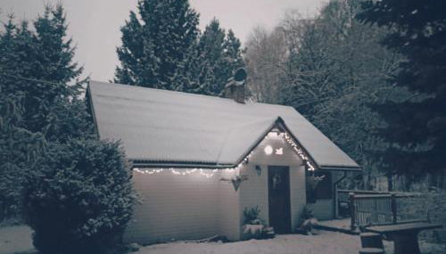 Niezapominajka - Foto 3