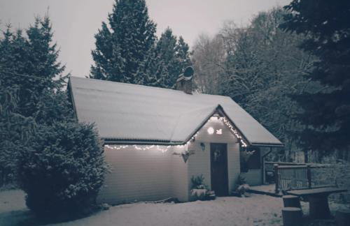 Niezapominajka - Foto 3