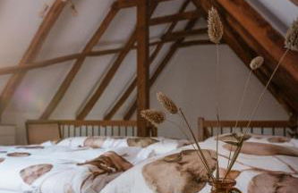 Ahrenshof Spieker W 11 - Foto 4