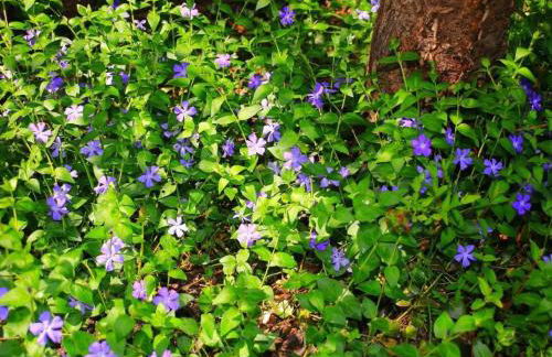 Holiday Home in Storkow mit Schönem Garten by Interhome - Foto 31