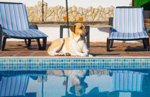 Family friendly house with a swimming pool Smrika, Kraljevica - 24407 - Foto 10